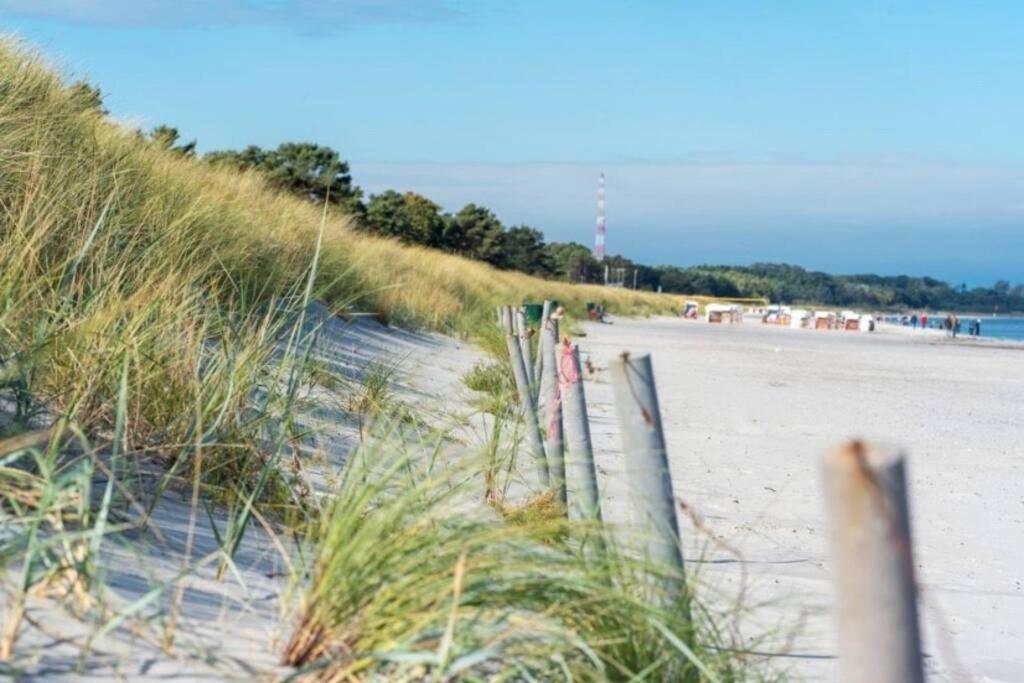 Ferienhaus Sanddorn Breege- Zwischen Bodden & Meer Dış mekan fotoğraf