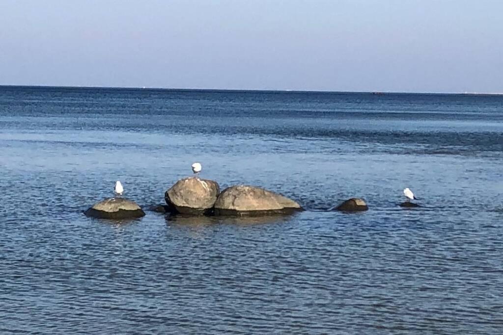 Ferienhaus Sanddorn Breege- Zwischen Bodden & Meer Dış mekan fotoğraf