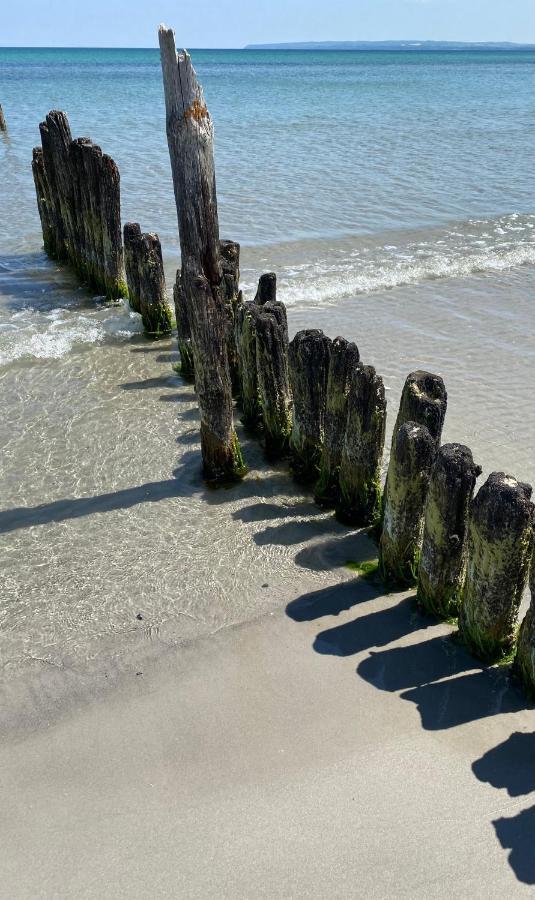 Ferienhaus Sanddorn Breege- Zwischen Bodden & Meer Dış mekan fotoğraf